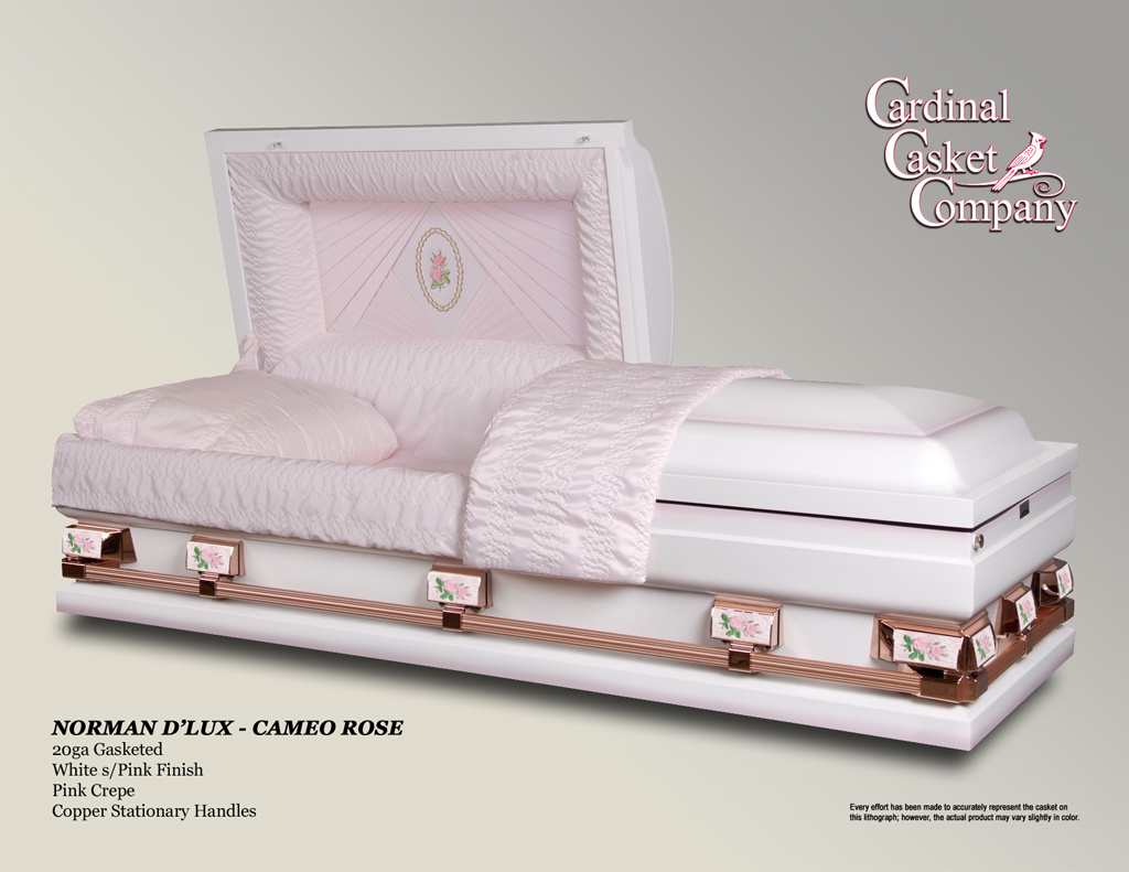 Norman Dlux   Cameo Rose